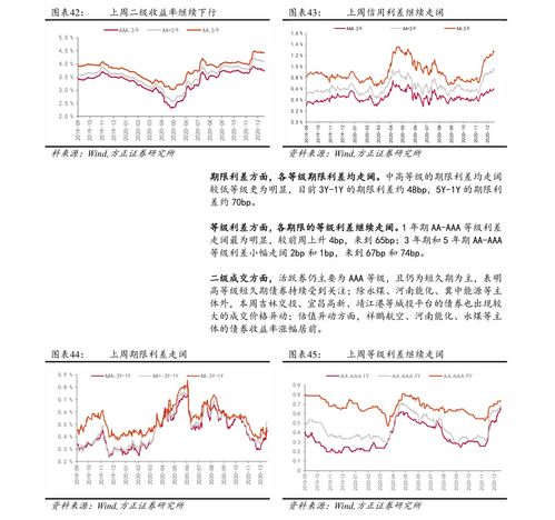 中国铝业 东阳光铝股票